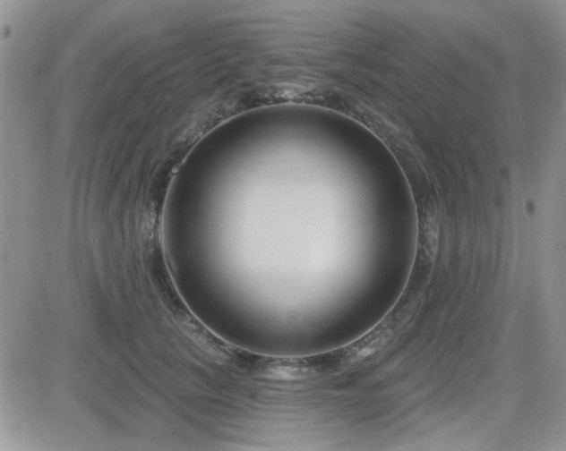 X0000082680657200701261157