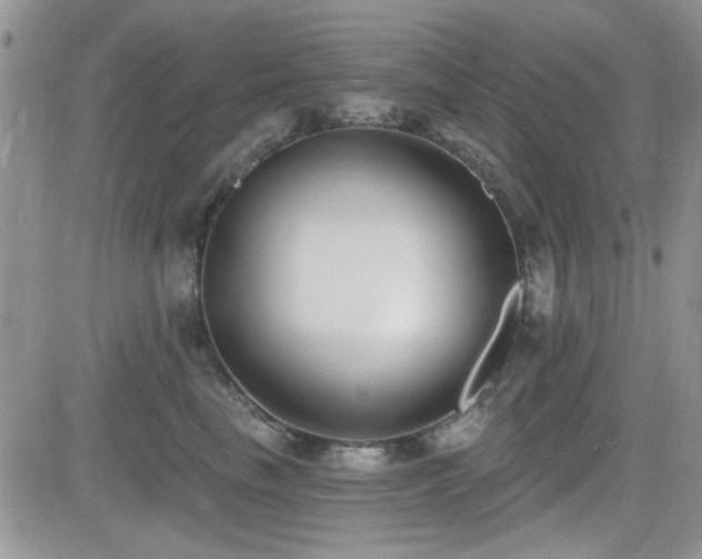 X0000082680665200701261157