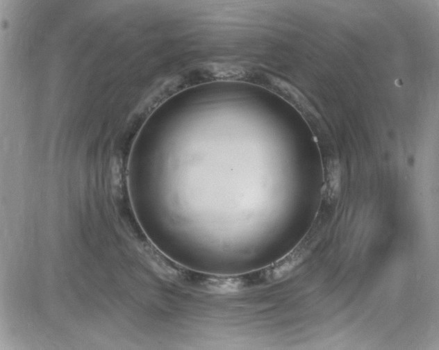 X0000082680667200701261157