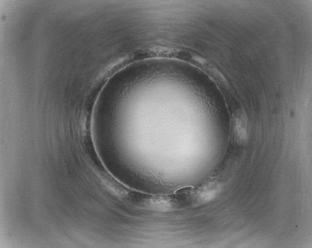 X0000082680668200701261157