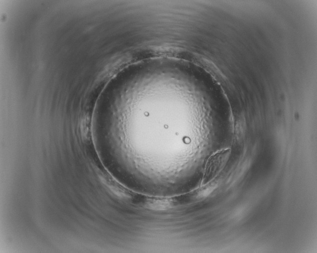 X0000082680671200701261157