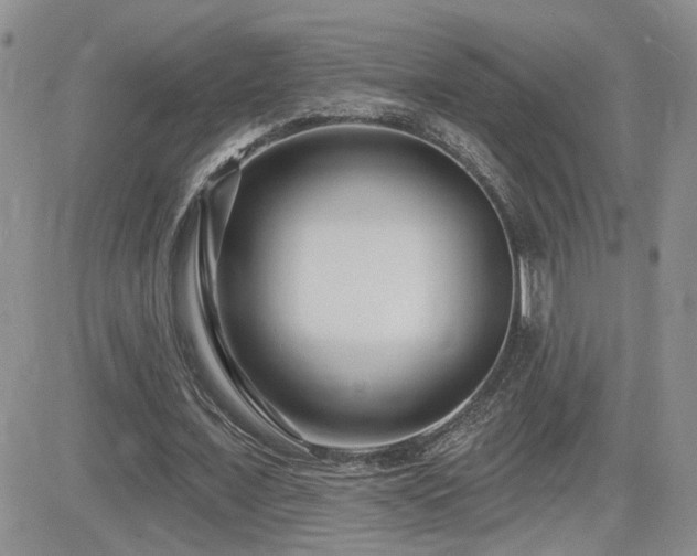 X0000082680675200701261156