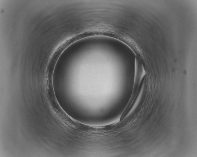 X0000082680680200701261156