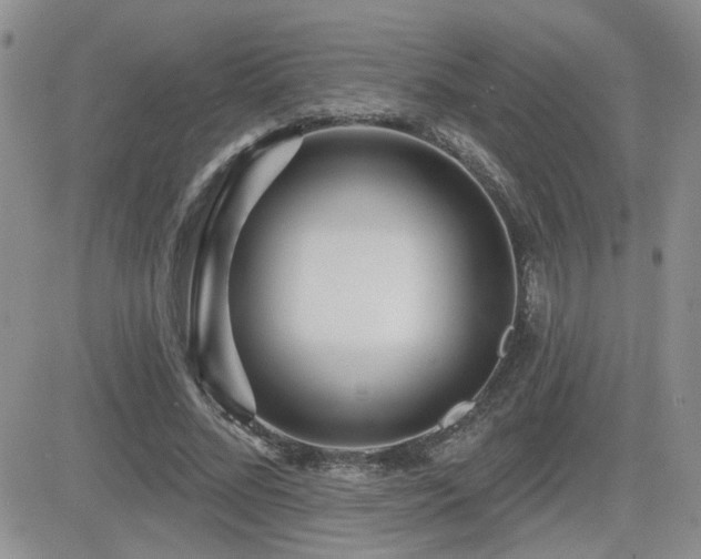 X0000082680684200701261156