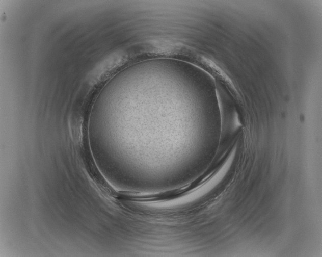 X0000082680685200701261156