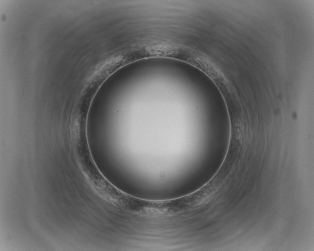 X0000082680690200701261156