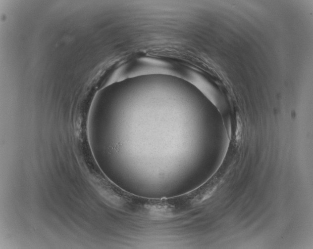 X0000082680693200701261156
