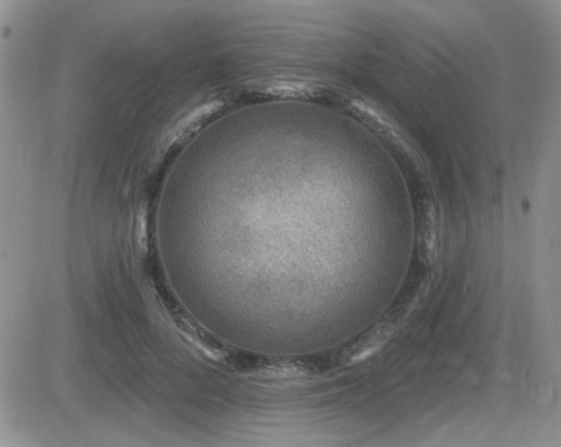X0000082680696200701261156