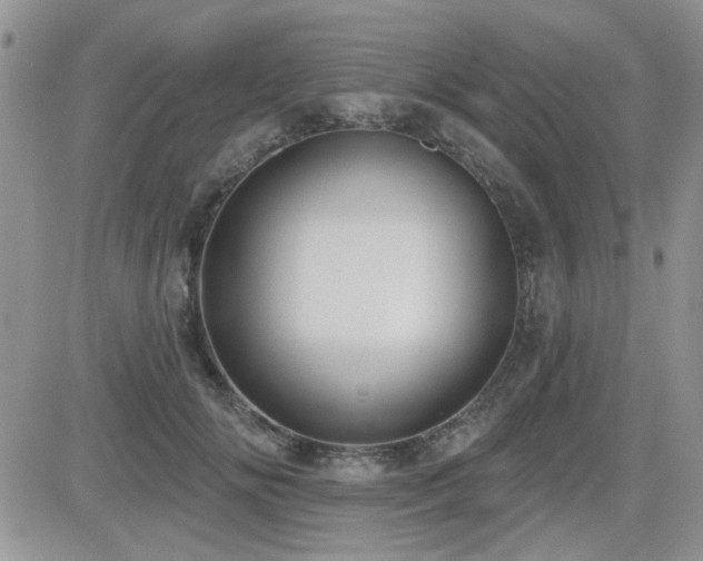 X0000082680702200701261156