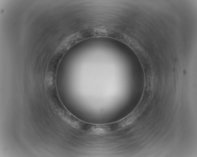 X0000082680706200701261156