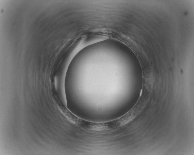 X0000082680708200701261156