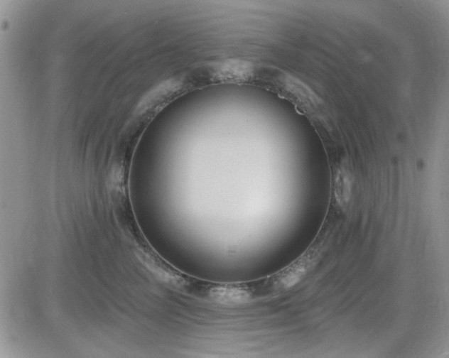 X0000082680714200701261155