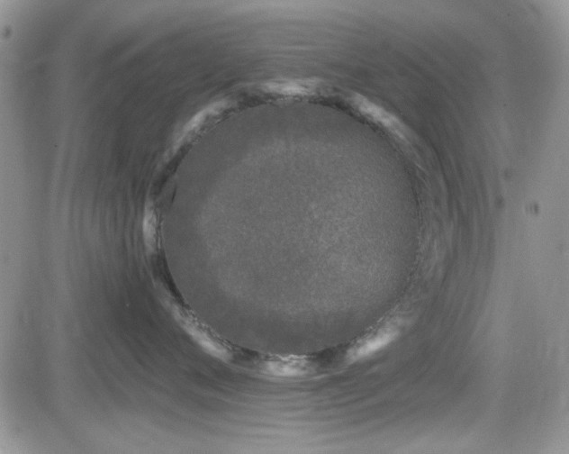 X0000082680720200701261155