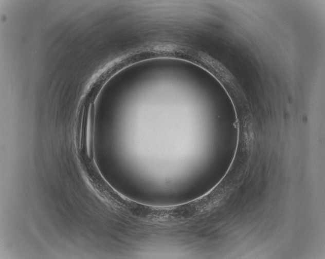 X0000082680728200701261155