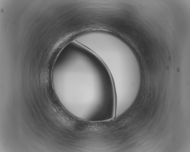 X0000082680732200701261155