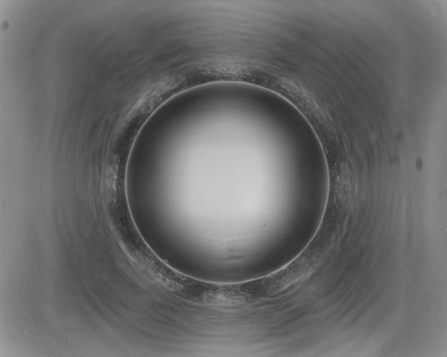 X0000082680739200701261155
