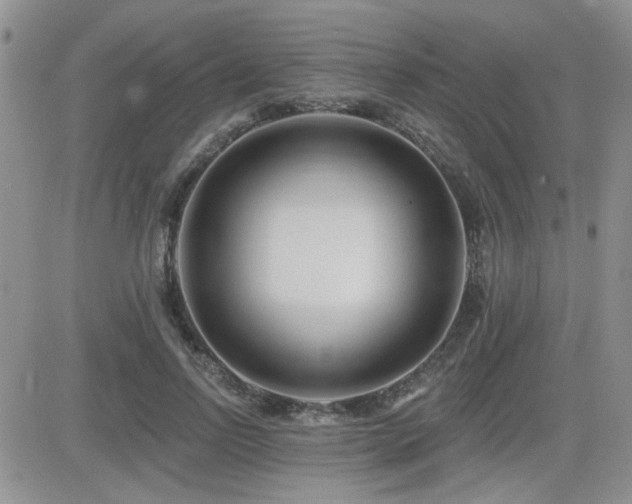 X0000082680742200701261155