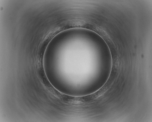 X0000082680743200701261155