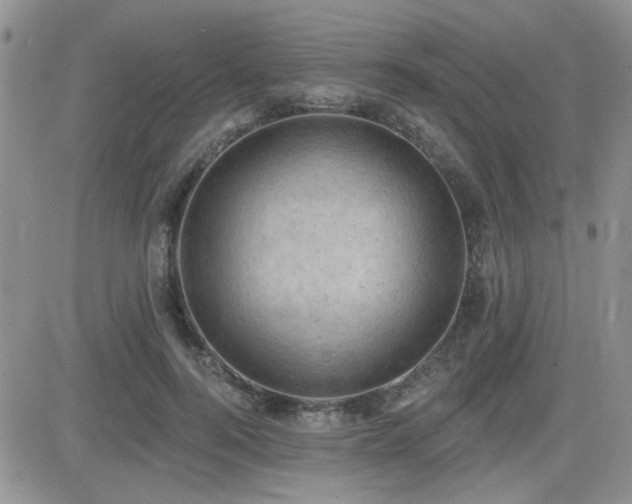 X0000082680744200701261155