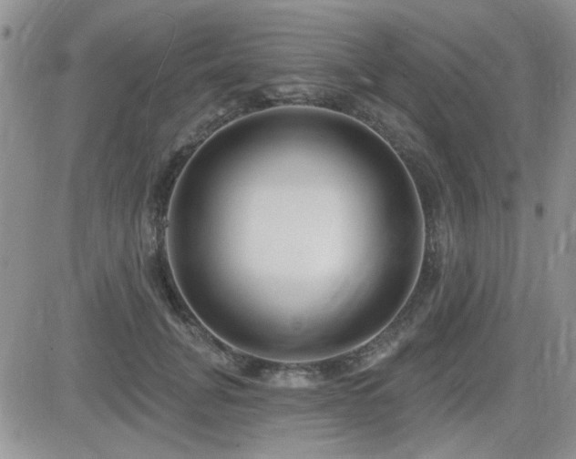 X0000082680751200701261155