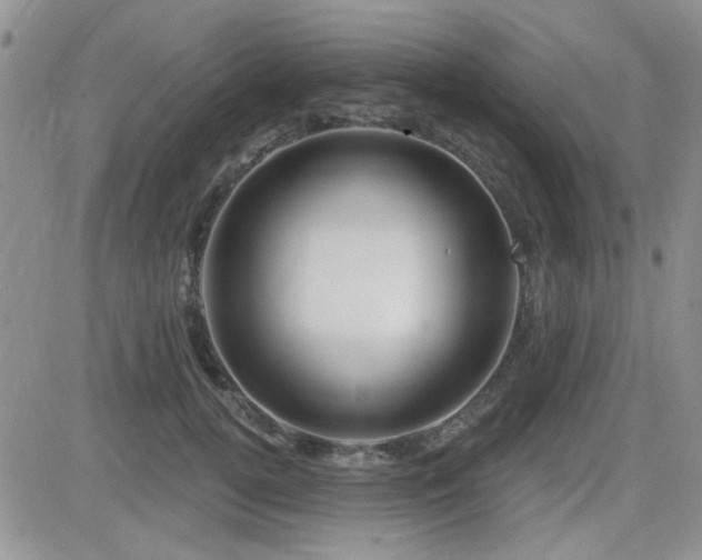 X0000082680752200701261155