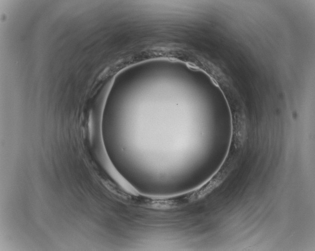 X0000082680758200701261155