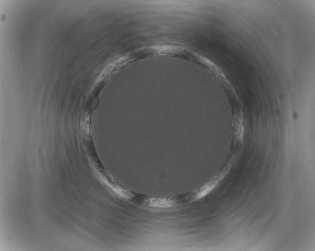 X0000082680766200701261155