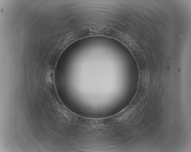 X0000082680770200701261155