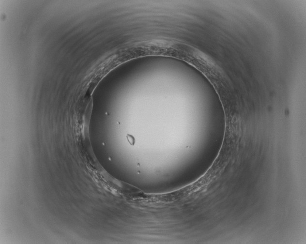 X0000082680774200701261154