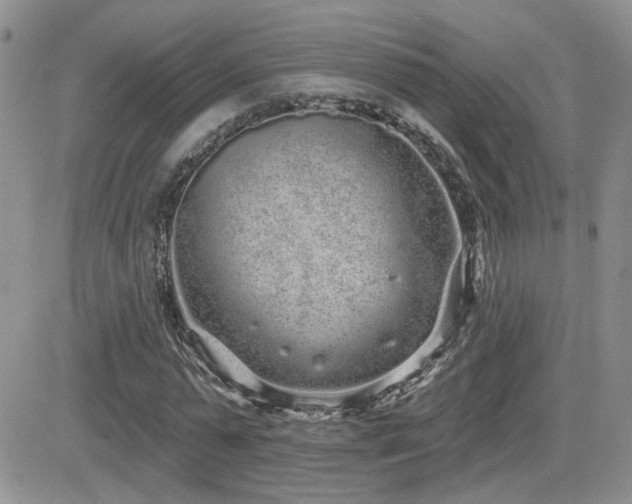 X0000082680775200701261154