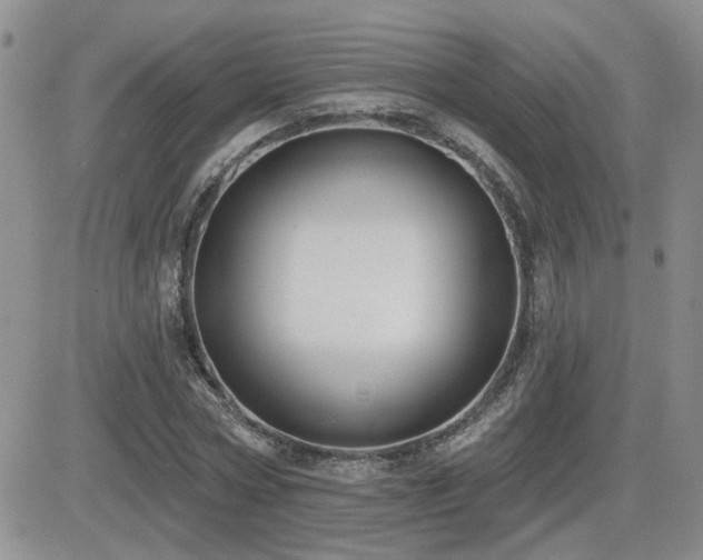 X0000082680778200701261154