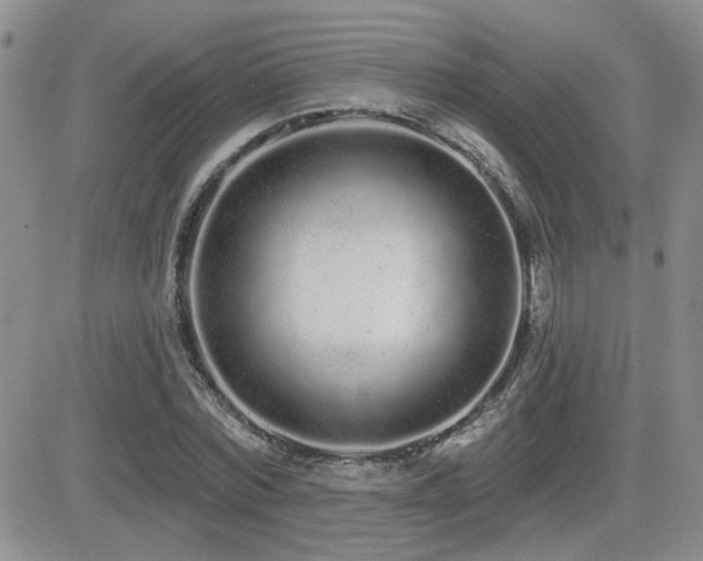 X0000082680780200701261154