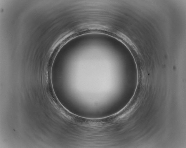 X0000082680782200701261154