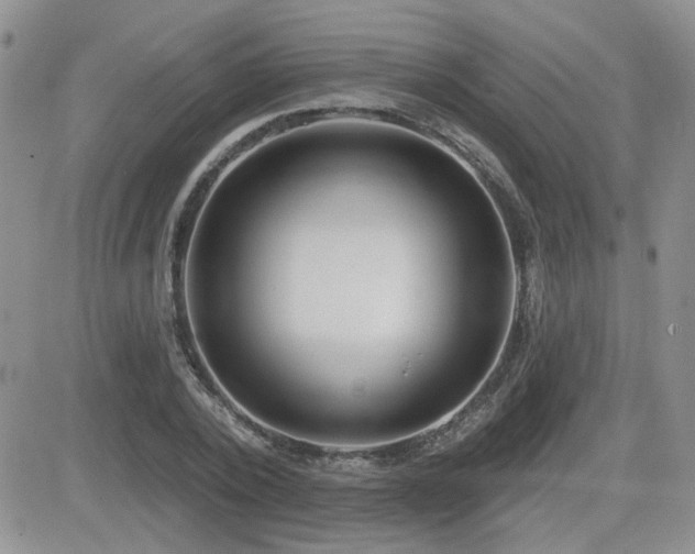 X0000082680784200701261154