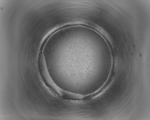 X0000082680789200701261154