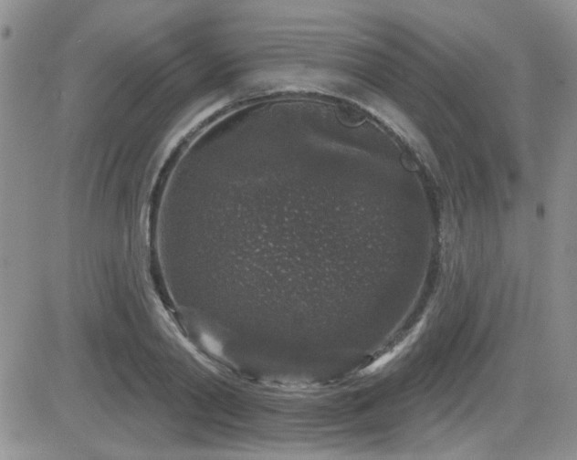 X0000082680790200701261154