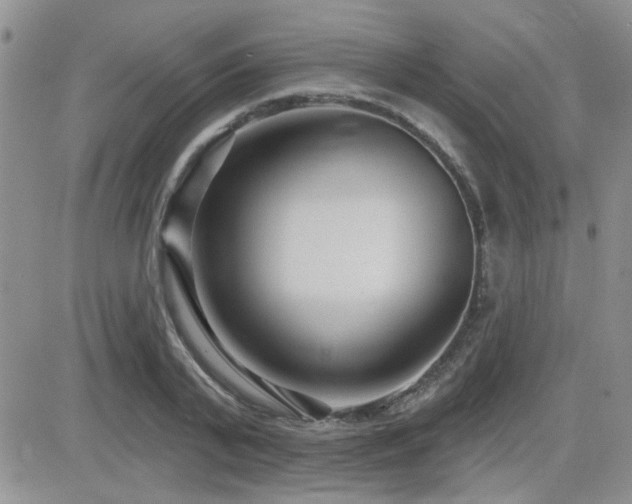 X0000082680791200701261154