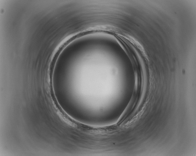 X0000082680792200701261154