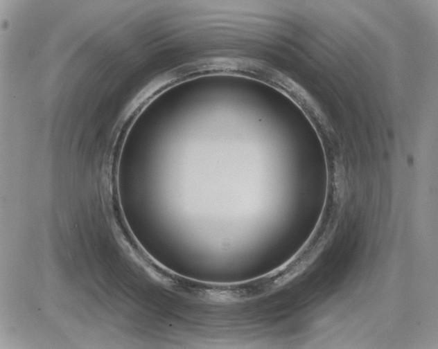 X0000082680794200701261154