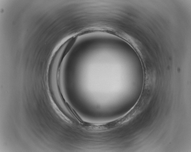 X0000082680795200701261154