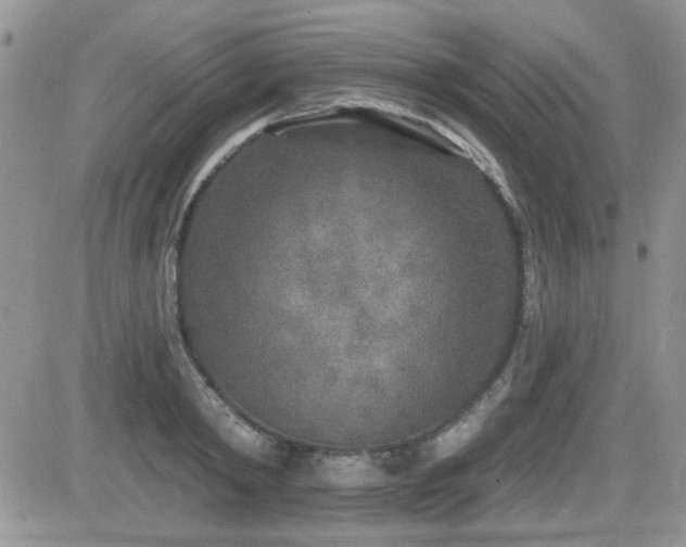 X0000082680798200701261154