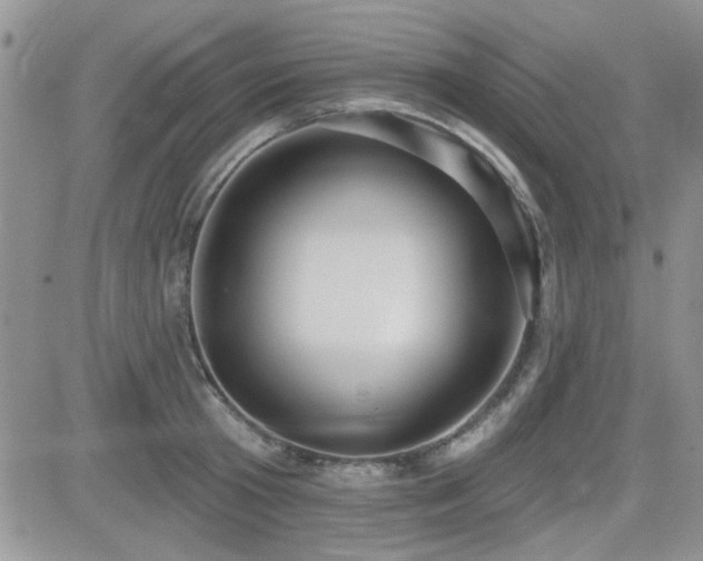 X0000082680801200701261154