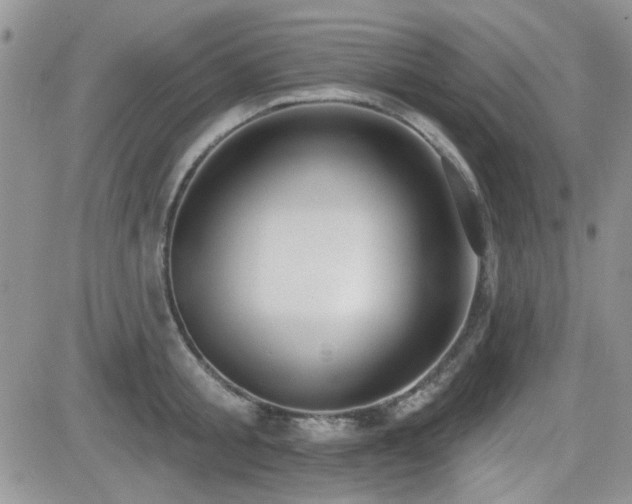 X0000082680805200701261154