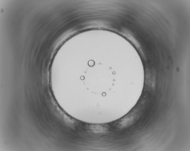 X0000082680807200701261154