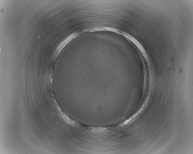 X0000082680809200701261154