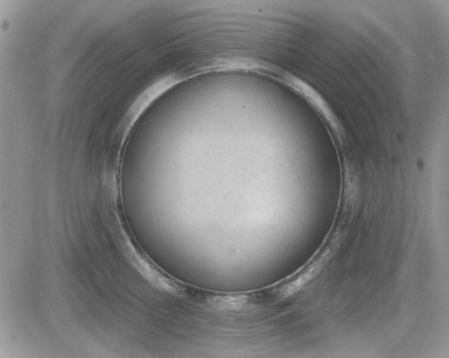 X0000082680810200701261154