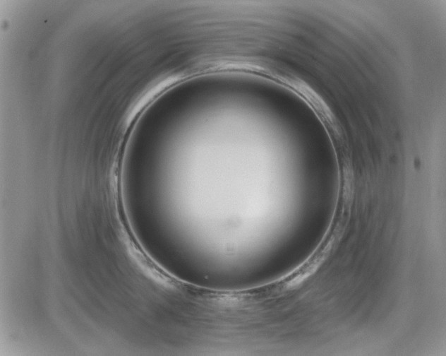 X0000082680814200701261154