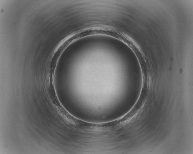 X0000082680829200701261153