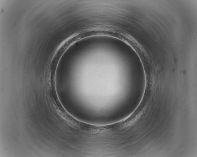 X0000082680830200701261153