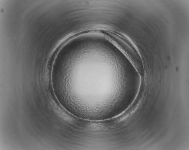 X0000082680835200701261153